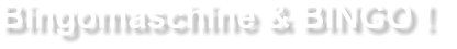 Bingo mieten bei EVENTADLER