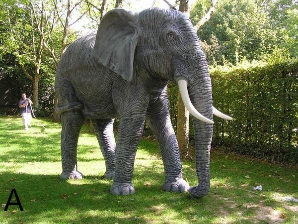 Elefanten-Figur mieten – lebensgroß bis ca. 350 cm Höhe, Afrika-/Savanne-Deko