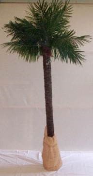 Deko-Palmen mieten – künstliche Palmen 200–300 cm für Beach- & Karibik-Events – 3