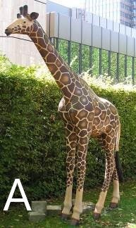 Giraffen-Figur mieten – lebensgroß bis ca. 400 cm, Afrika-/Savanne-Deko