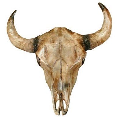 Kuhschädel mieten - lebensgroße Western-Deko, naturgetreu patiniert – 2