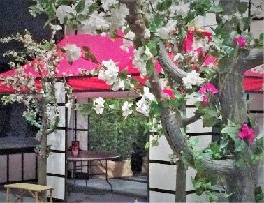 Kirschblütenbaum mieten – künstlicher Baum 300/350 cm für Japan- & China-Deko – 3