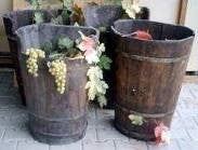 Weinkiepen mieten – originale Deko für Weinlese, Weinfest & Herbst-Motto – 2