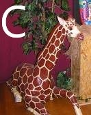 Giraffen-Figur mieten – lebensgroß bis ca. 400 cm, Afrika-/Savanne-Deko – 3