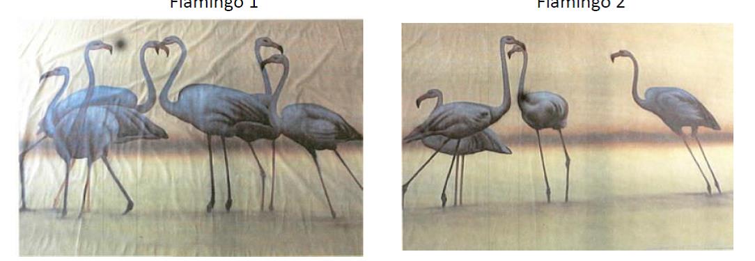 Flamingo-Kulisse mieten – Rollkulissen-Serie, ca. 900 x 280 cm