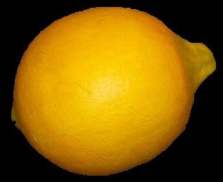 Künstliche Zitrone mieten – vollplastische Deko-Frucht aus Styropor (ca. 60 cm) – 2