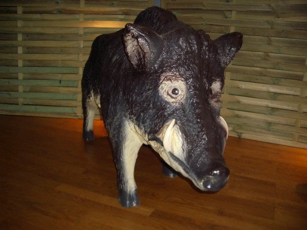 Wildschwein-Figur mieten – lebensgroßer Keiler, Deko für Wald & Jagd-Events – 4
