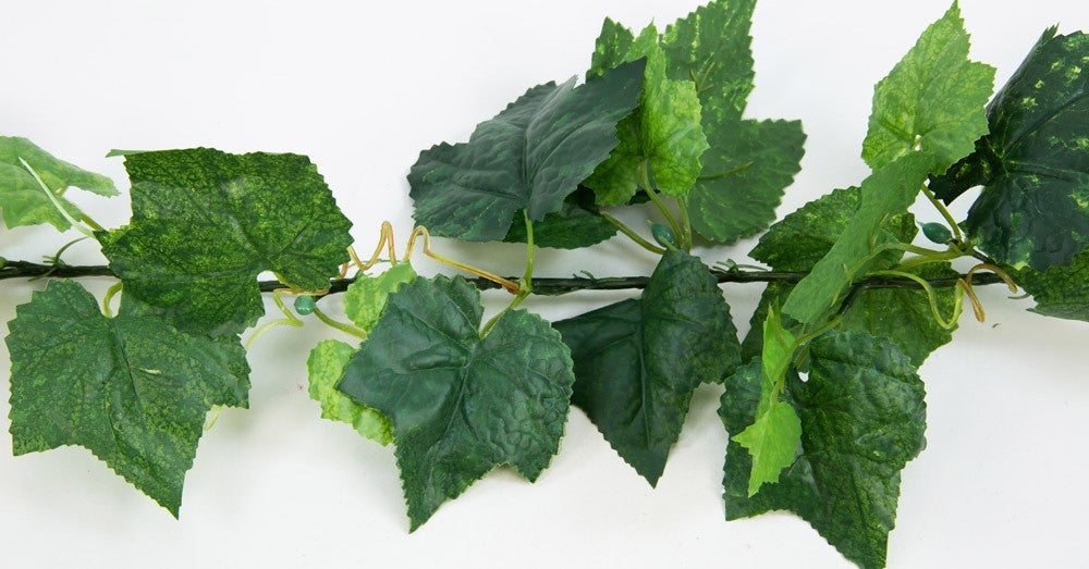 Wein- & Efeuranken mieten - künstliche Ranken 20-120 cm für Deko