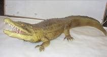 Krokodil Figur mieten - Kroko 80 cm Dschungel- & Zoo-Deko