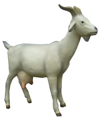 Ziegenbock Figur mieten – lebensgroße Tierfigur, ca. 150 cm, Polyresin – 2