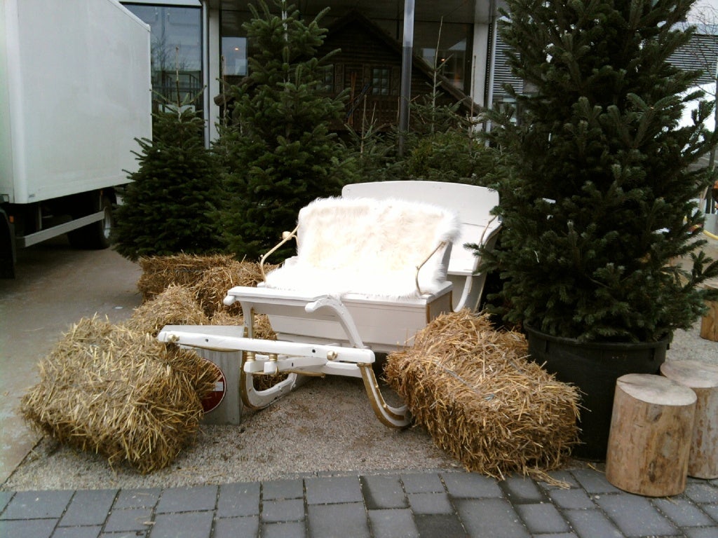Pferdeschlitten mieten – winterliche Weihnachts-Deko, mehrere Formate – 3