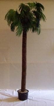 Deko-Palmen mieten – künstliche Palmen 200–300 cm für Beach- & Karibik-Events – 2