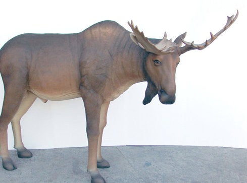 Elch-Figur mieten – lebensgroß, outdoorgeeignet, Skandinavien & Wald-Deko