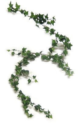 Wein- & Efeuranken mieten - künstliche Ranken 20-120 cm für Deko – 3