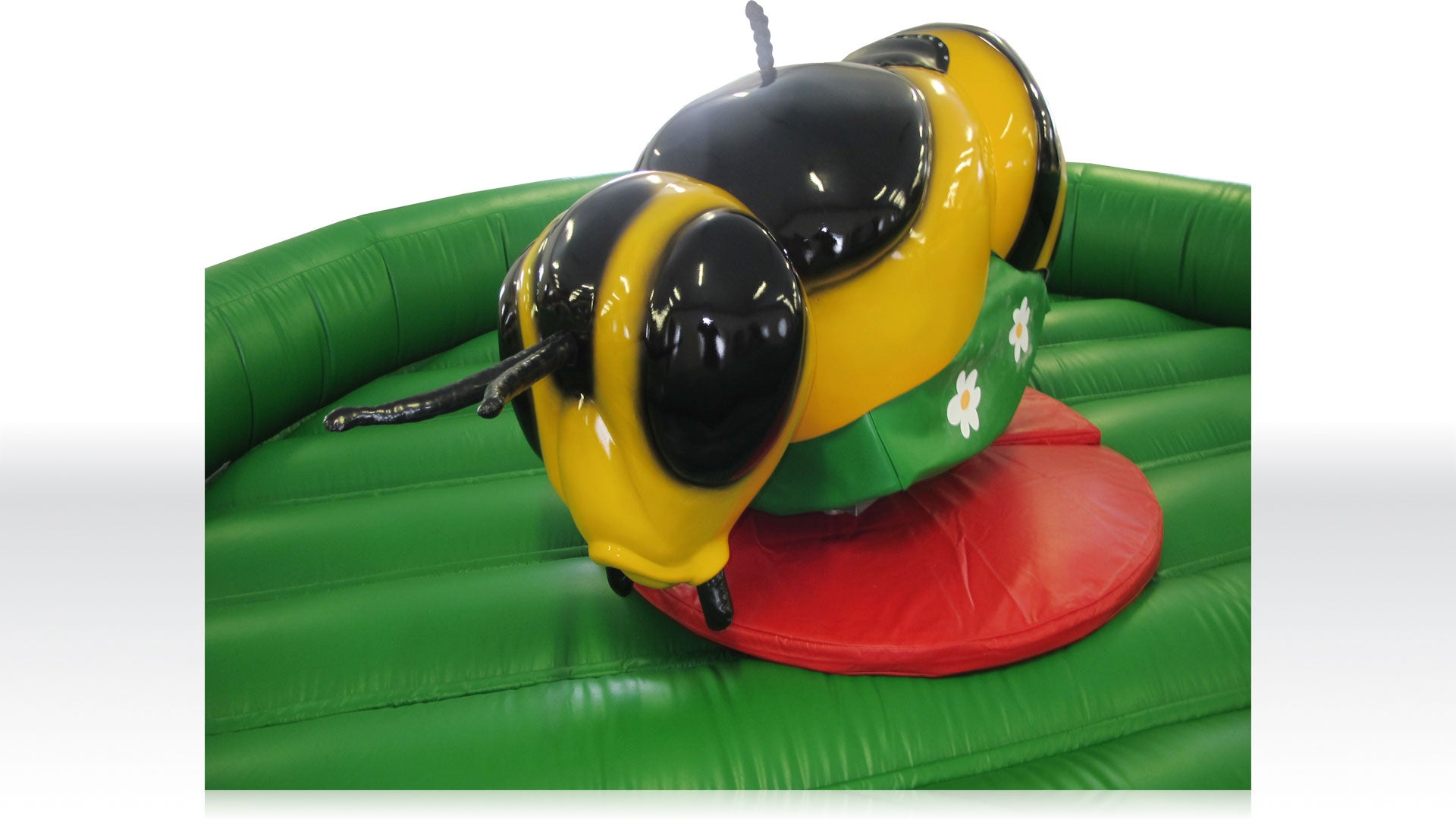 Bienenreiten, Rodeo, Simulator mieten – 2