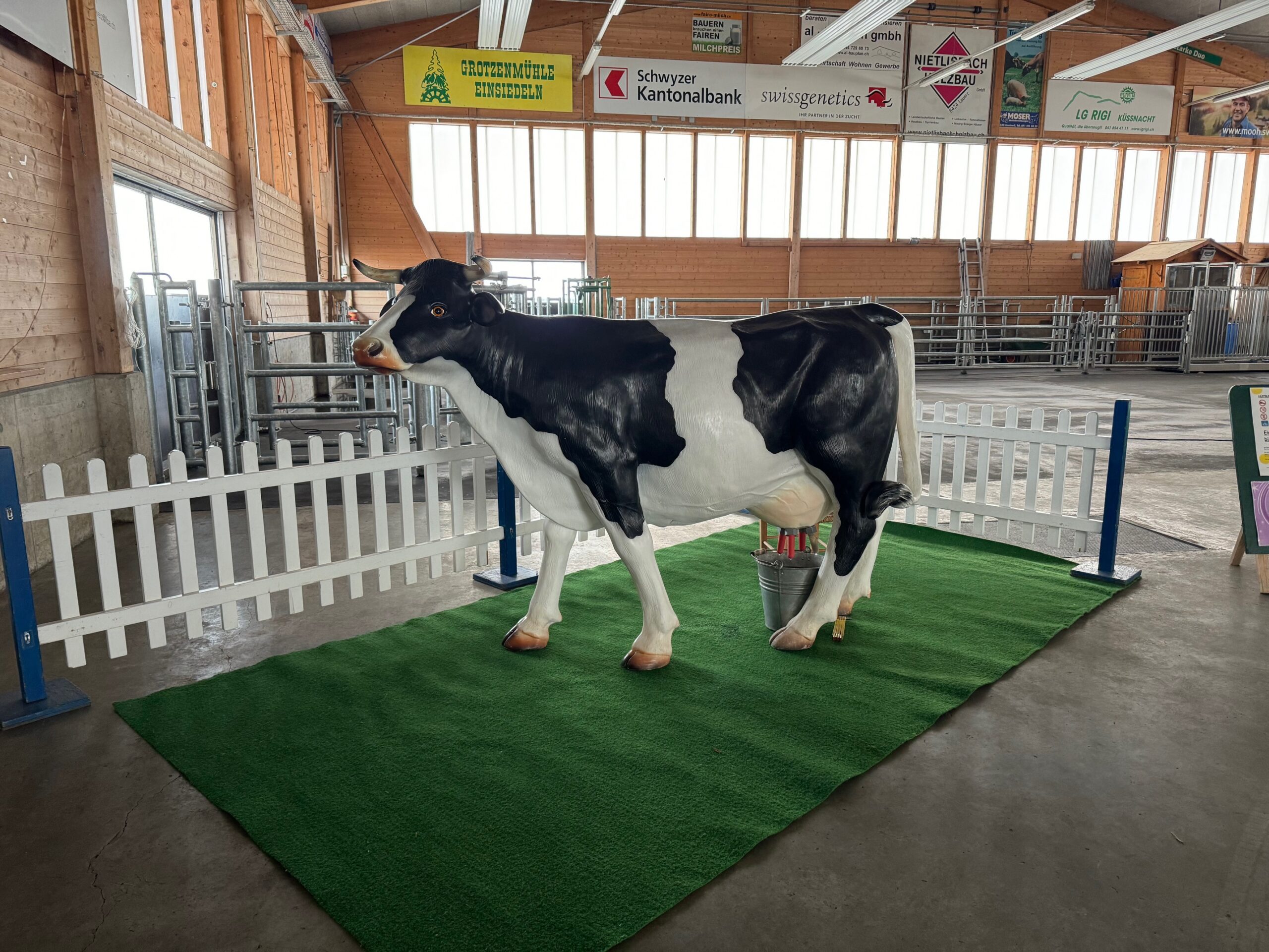 Melkkuh mieten bei Axess