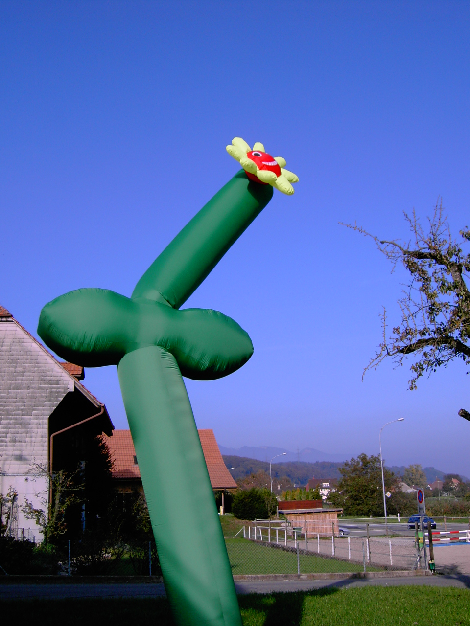 Skydancer Blume mieten bei Axess