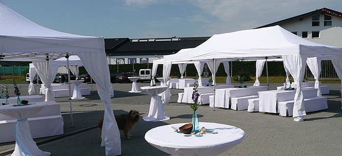 Faltzelt / Galazelt mieten - wasserdicht, B1, Größen bis 4 x 8 m – 2