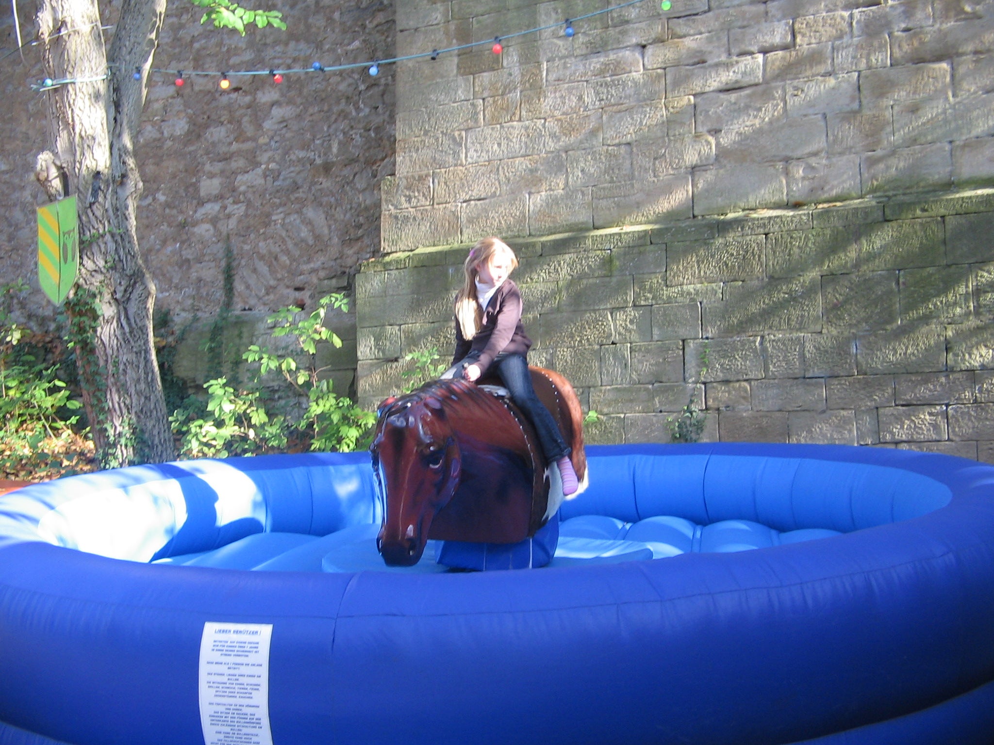 Horse-Riding mieten – Pferde-Reitsimulator mit Automatik & Zeitanzeige – 3
