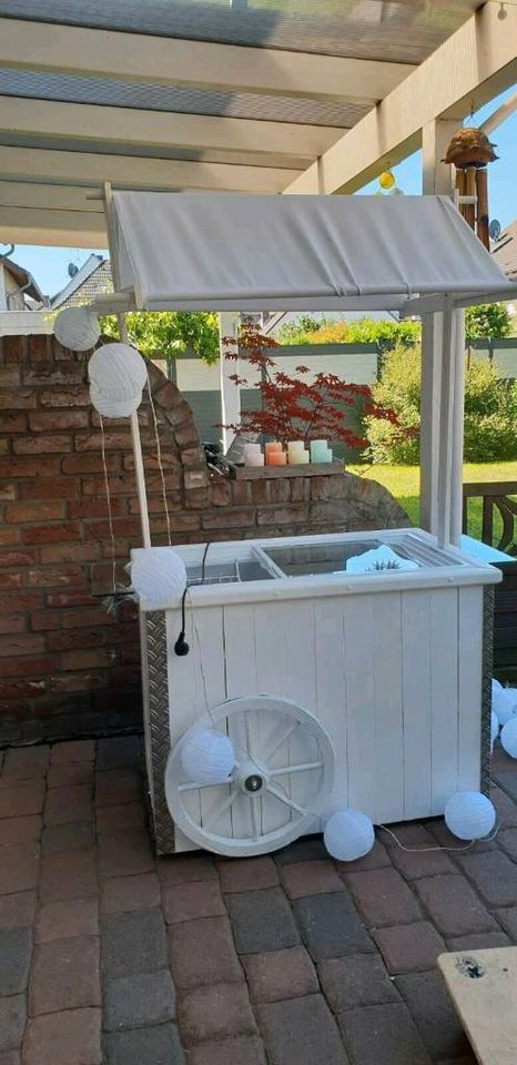 Nostalgischer Eiswagen mieten – 2