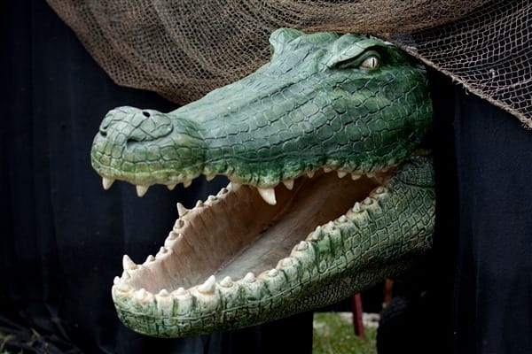 Krokodil , Piraten Dekoration