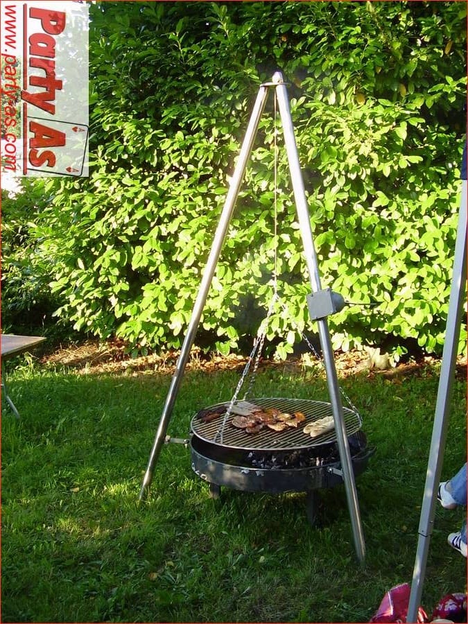 Schwenkgrill