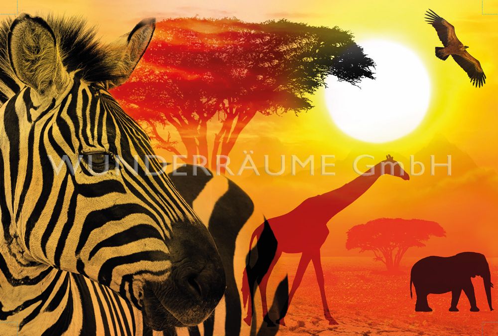 Leinwanddruck "Tiere Afrika"