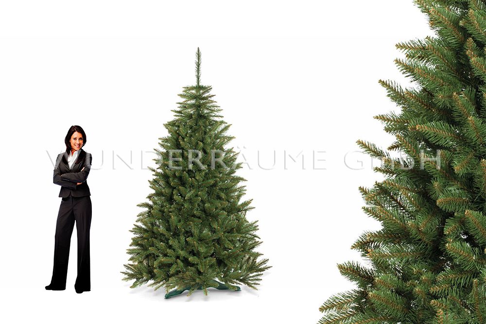 Nadelbaum Fichte, XL