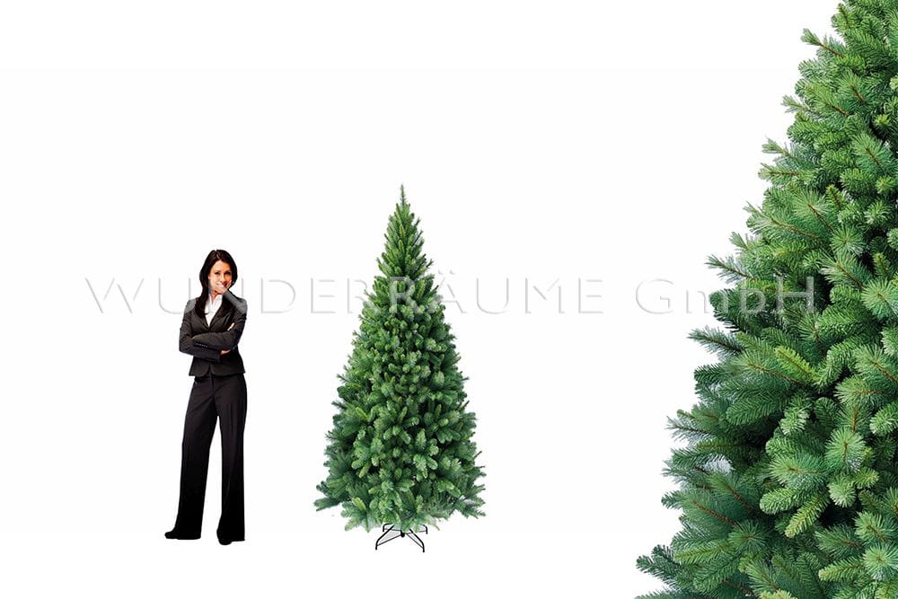 Nadelbaum L