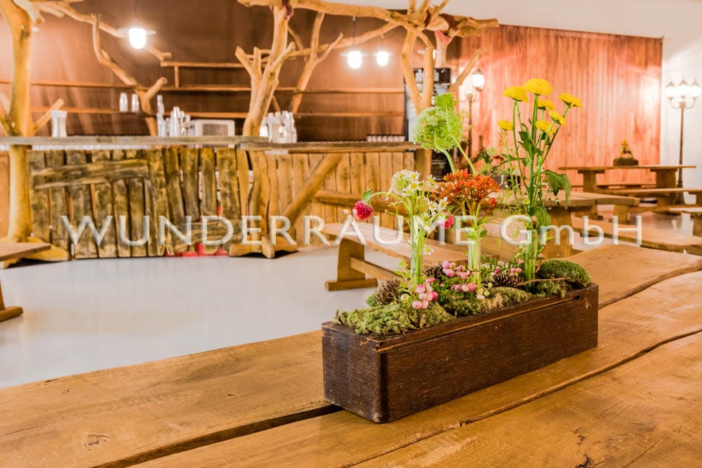 Wald-Bar – 5