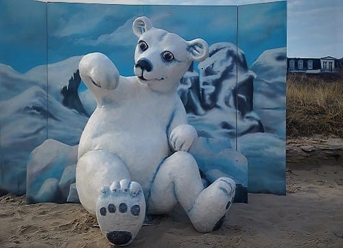 Eisbär XXL - Bär