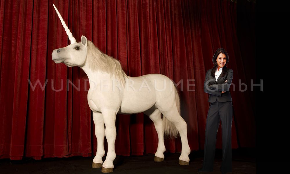 Weißes Einhorn, Pferd