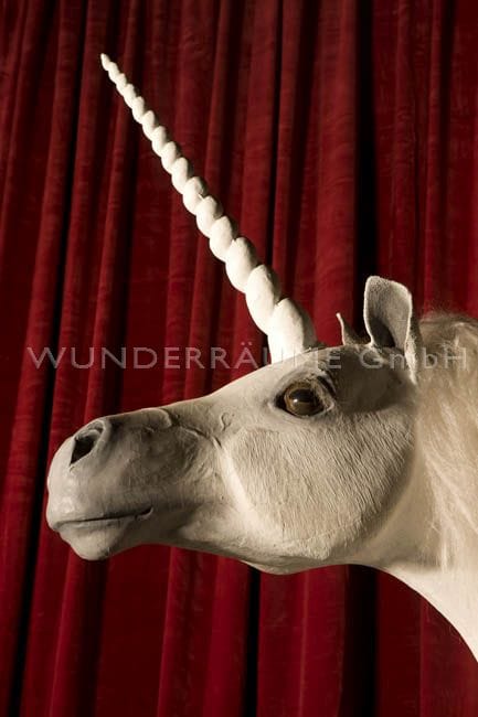 Weißes Einhorn, Pferd – 4