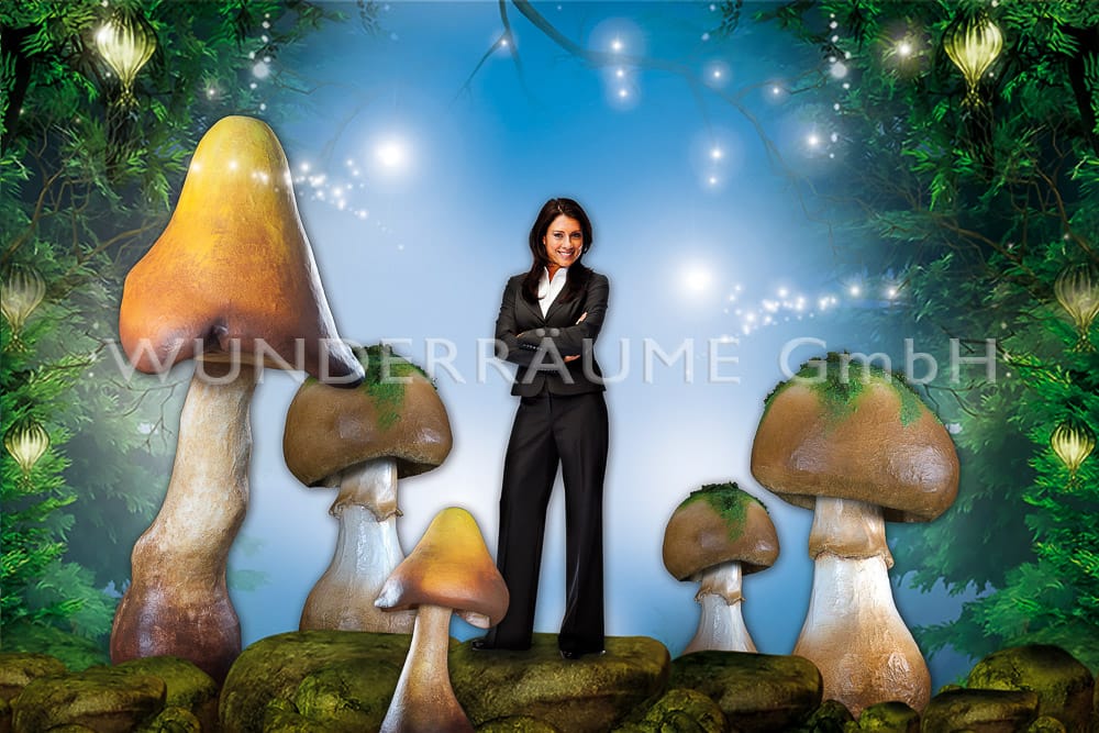 Pilze groß, Pilzset Champignon/Pfifferlinge (9 Pilze)