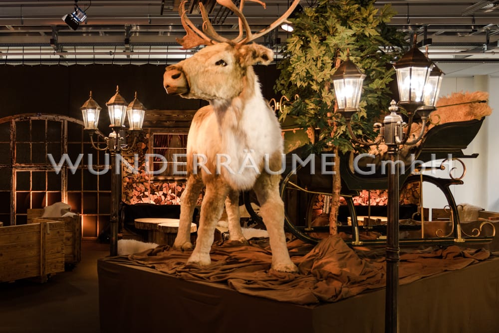 Größter dt. Winter- & Weihnachtsfundus XXL – 4