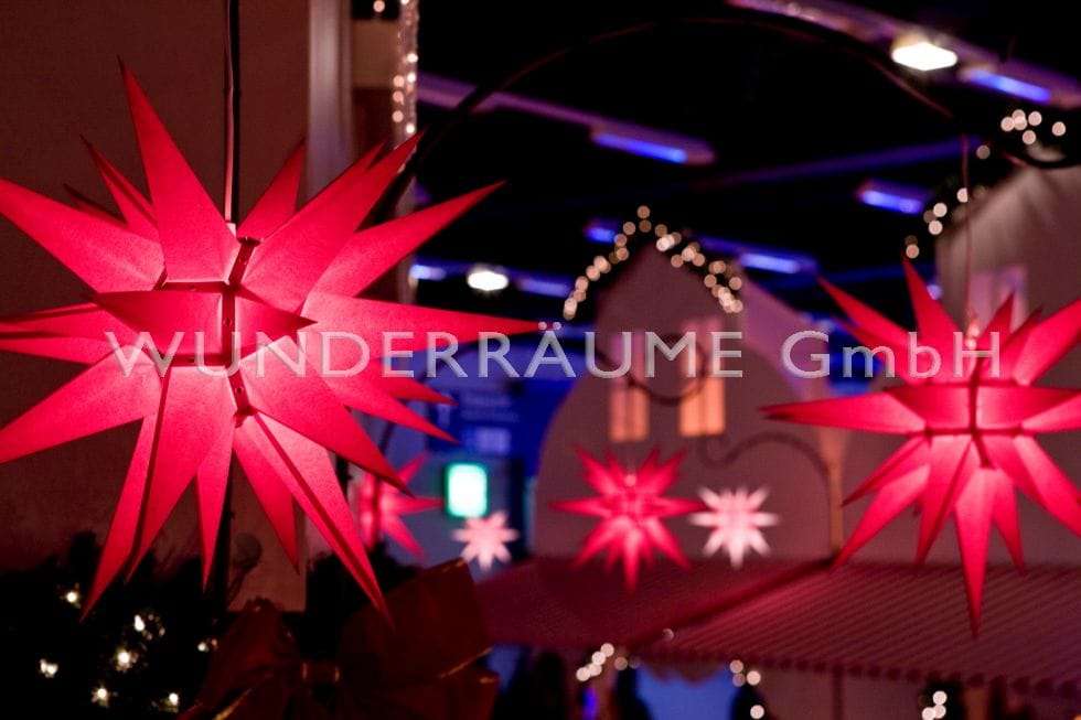 Größter dt. Winter- & Weihnachtsfundus XXL – Thumbnail 9