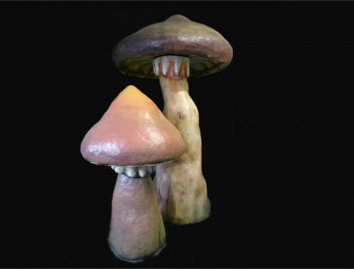  Riesen Pilze , Pilz – 3