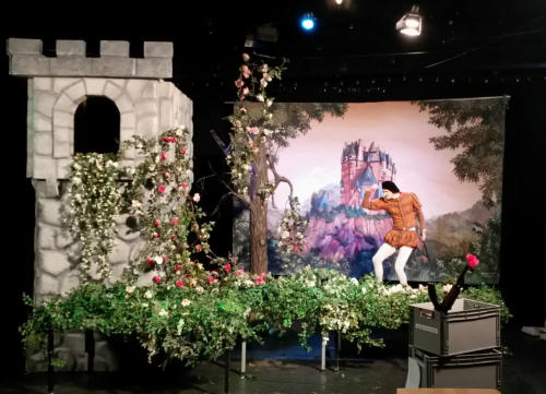 Märchenszene – Dornröschen , Weihnachten , Märchen Dekoration