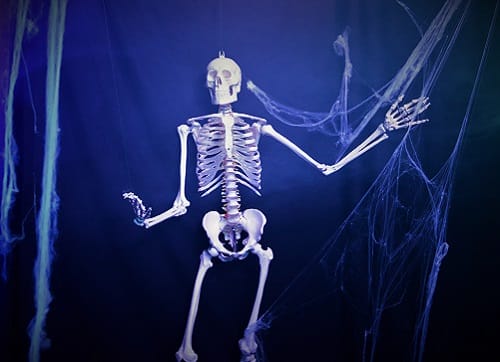 Skelett , Piraten Dekoration , Halloween Dekoration – 5