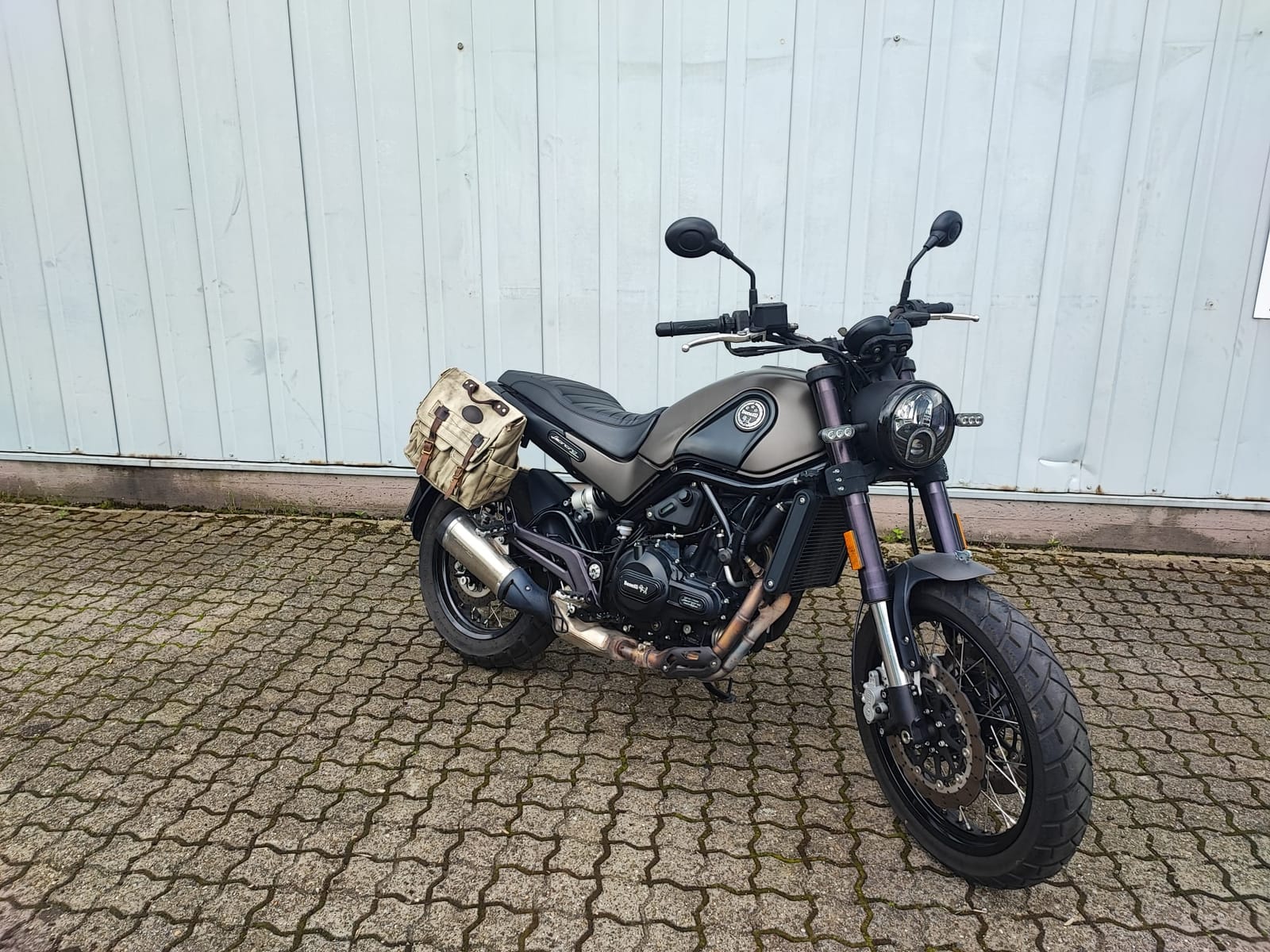 Motorrad Benelli Leoncino 500 – 3