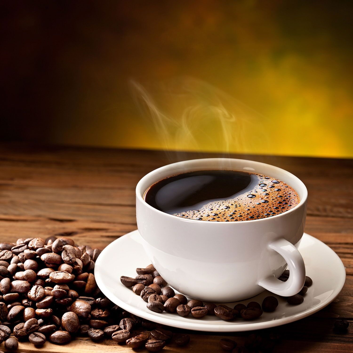 Filterkaffeemaschine gewerblich 2 x 2 Liter 3,3 kW mit 2 Warmhalteplatten inkl. 2 Isolierkannen á 2 – 3