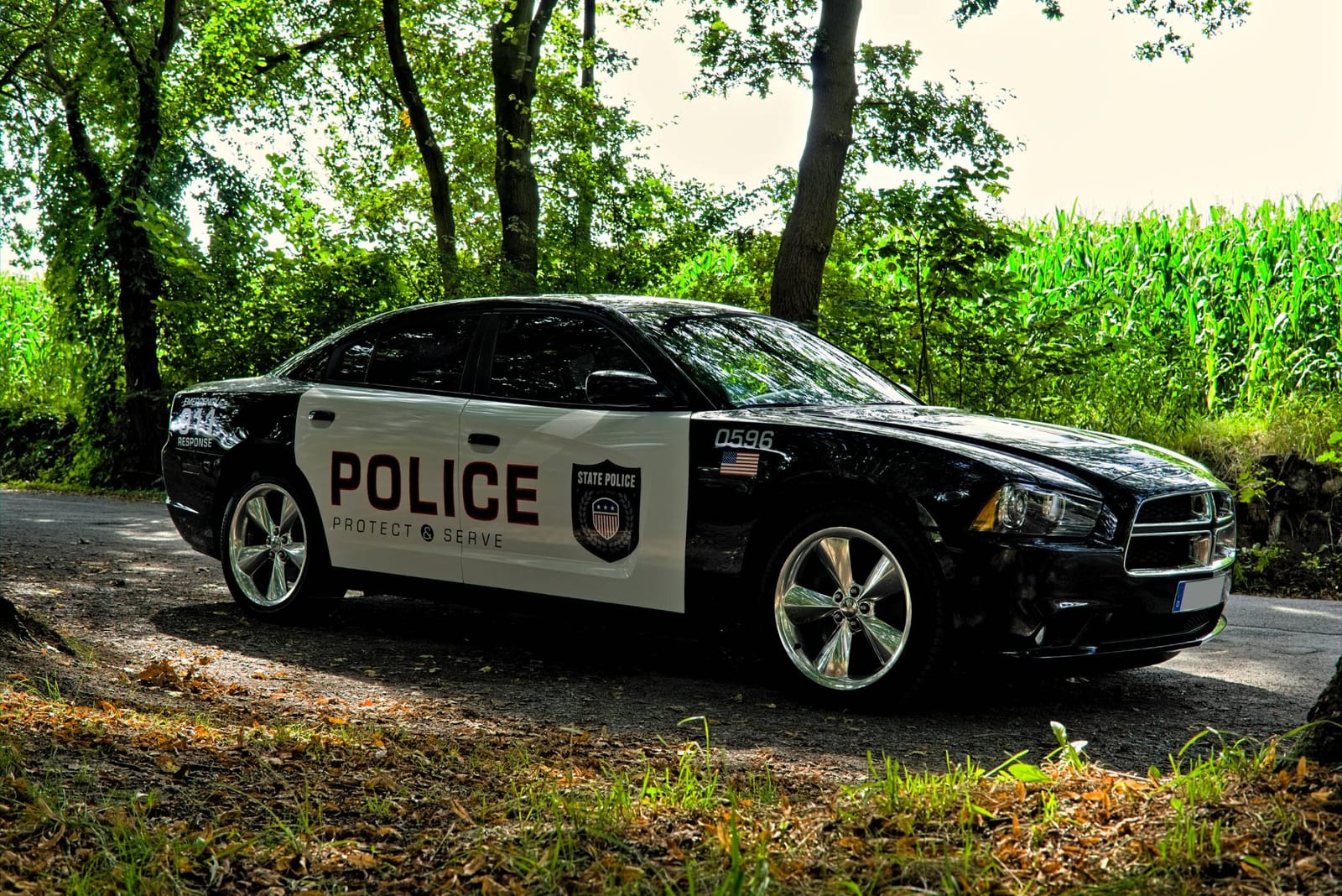 Dodge Charger RT/8 im "Police-Car-Design" zum Selberfahren! V8, 370 PS (271 KW), 5,7 Liter Hemi – 4