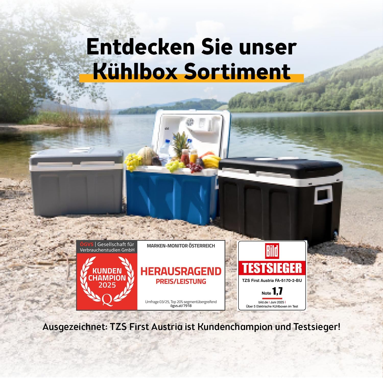 Minikühlschrank Kühlbox 45L elektrisch 12V 230V Anschluss 6°C bis 50°C für Auto & Steckdose – Thumbnail 6