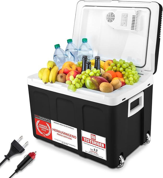 Minikühlschrank Kühlbox 45L elektrisch 12V 230V Anschluss 6°C bis 50°C für Auto & Steckdose